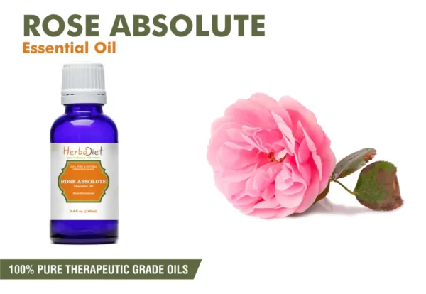 Rose Essential Oil(Pelargonium Roseum) 100% Pure Therapeutic Grade Oils Aromatherapy oil 1ml to 100 ml Dropper Glass bottle