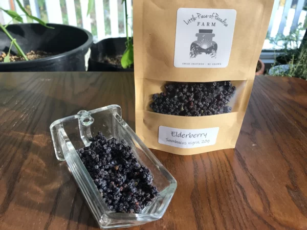 Organic Dried Elderberry, Sambucus nigra, Sustainable Farm Grown Herb Medicine