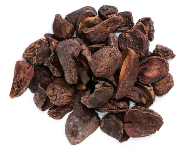 100 gram Dried Kola Nuts Cola Nut Seeds - Cola Acuminata